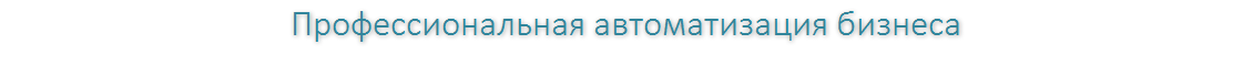 Профессиональная автоматизация бизнеса